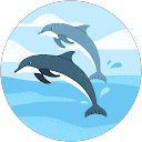 Caitlin Mason profile picture